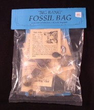 Bag of 12 small fossils