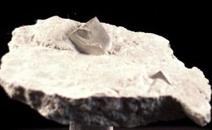 Pyrite cube in matrix mineral sample