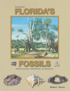 Book - Florida's Fossils