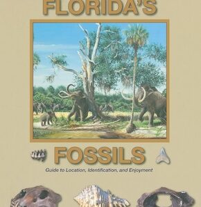 Book - Florida's Fossils