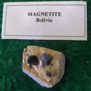 Magnetite crystals on matrix mineral sample