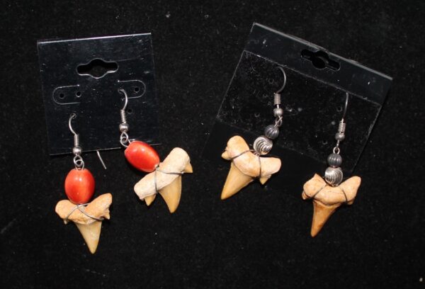 Shark Teeth earrings