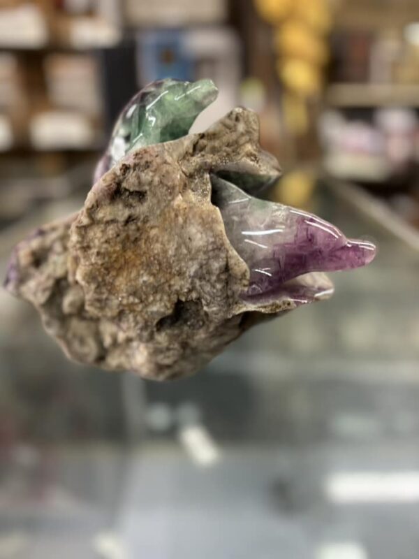 Fluorite dolphins