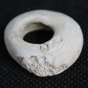 Sumerian Shell Ring Money