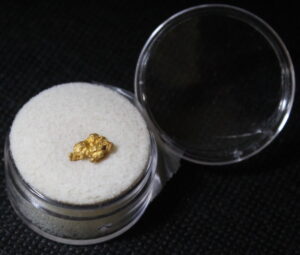 Dahlonega Gold Nugget