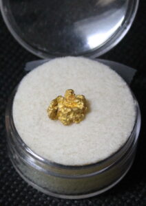 Dahlonega Gold Nugget