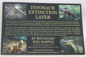 info on K-T boundary in Vial