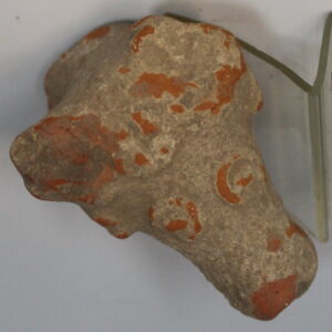 Taxila Terracotta Animal Head