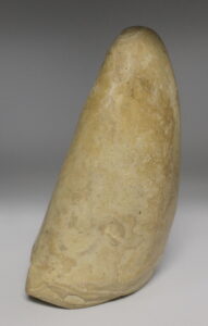 Fossil Sperm Whale tooth