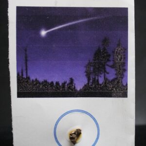 Campo Del Cielo meteorite