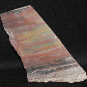 Petrified Wood