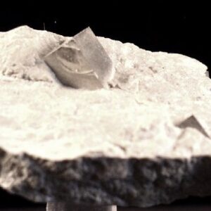 Pyrite Cubes in Matrix