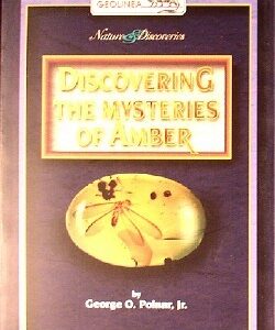 Discovering the Mysteries of Amber