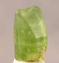 Peridot Crystal - J08000