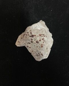 Garnets on Mica Matrix - Pakistan - J08341