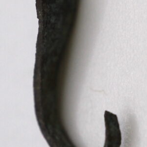 Bronze Fishhook