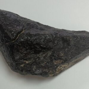NWA 869 Meteorite