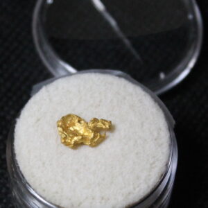 Dahlonega Gold Nugget - 0.8 g