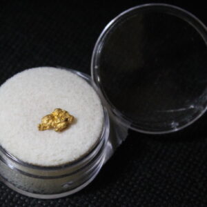 Dahlonega Gold Nugget - 0.85 g