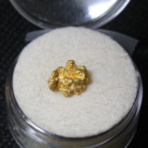 Dahlonega Gold Nugget - 1.21 g