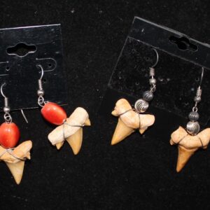 Sharks Teeth Earrings - J08622