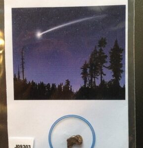 Campo del Cielo Meteorite