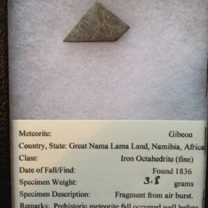 Gibeon Meteorite Slice