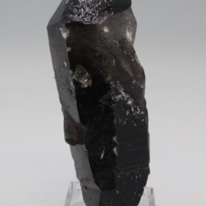 Double Terminated Smoky Quartz / Found in Arkansas